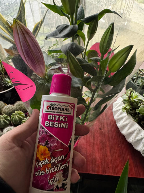 Çiçek Açan Süs Bitkileri Besini (Genel)